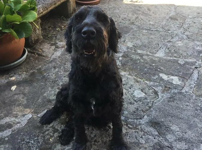 Casa Augas Santas Aguas Santas